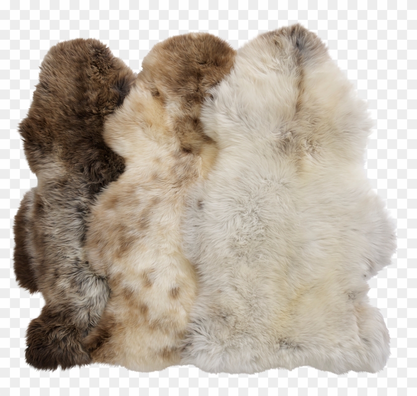 Big Dutch Silky Sheepskin - Fur Clothing Clipart