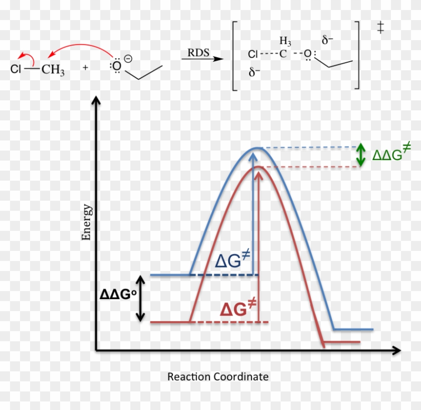 Solvent Effect Sn1 Mechanism - Solvent Effect On Reaction Rate Clipart #5253823
