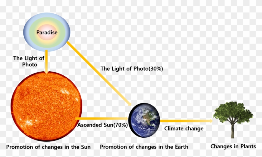 Because The Plants Don't Have The Matrix Structure - Circle Clipart