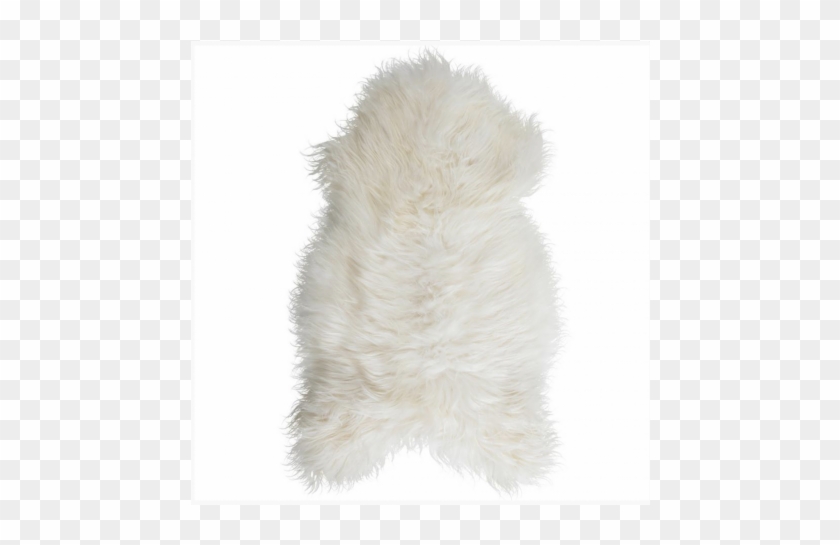 Prevnext - Fur Clothing Clipart #5254692