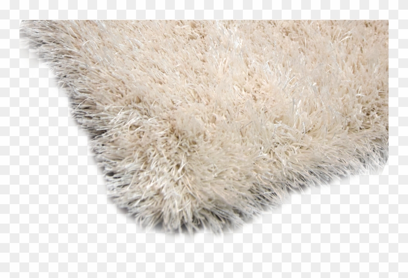 Collection - Plush Clipart #5254740