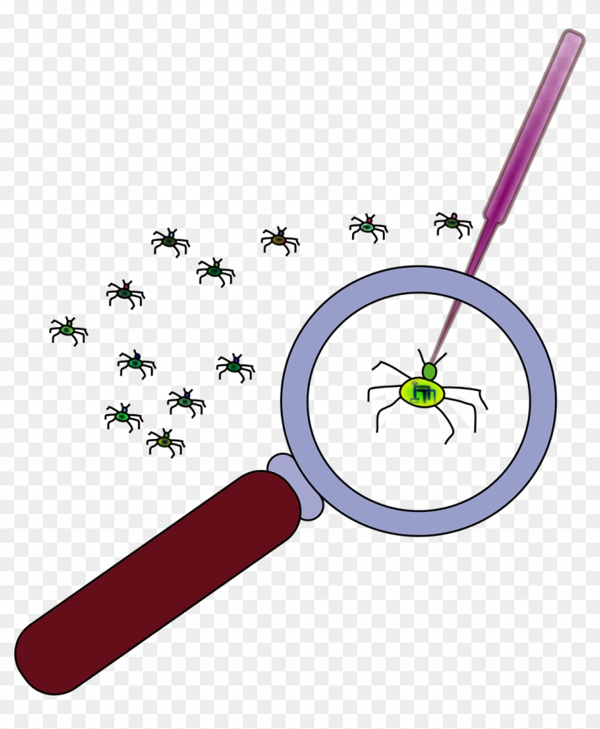 Destroyer Insect Killer Bug Png Image - Debugging Clipart Transparent Png #5255275