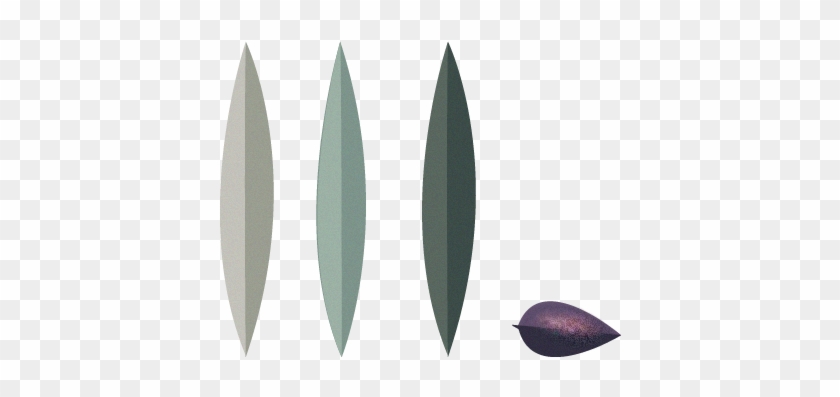 About - Baltic Clam Clipart #5255959