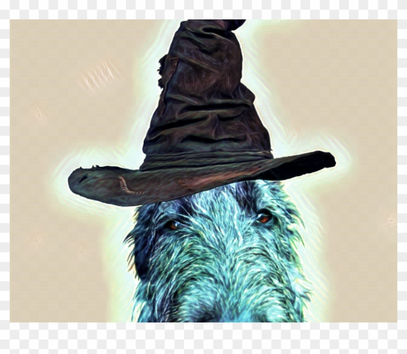 There's A Harry Potter Dog On My Couch Clipart #5256134
