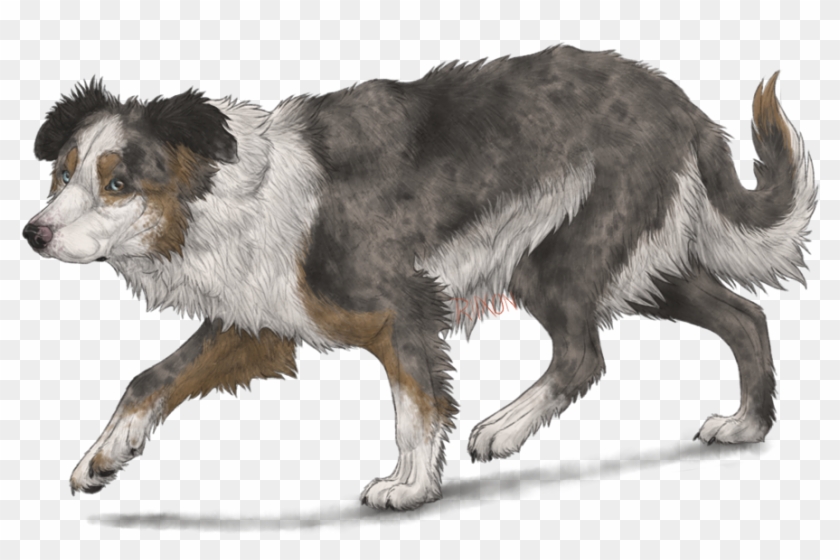 Border Collie By Riixon-d5uncwv - Anime Border Collie Clipart