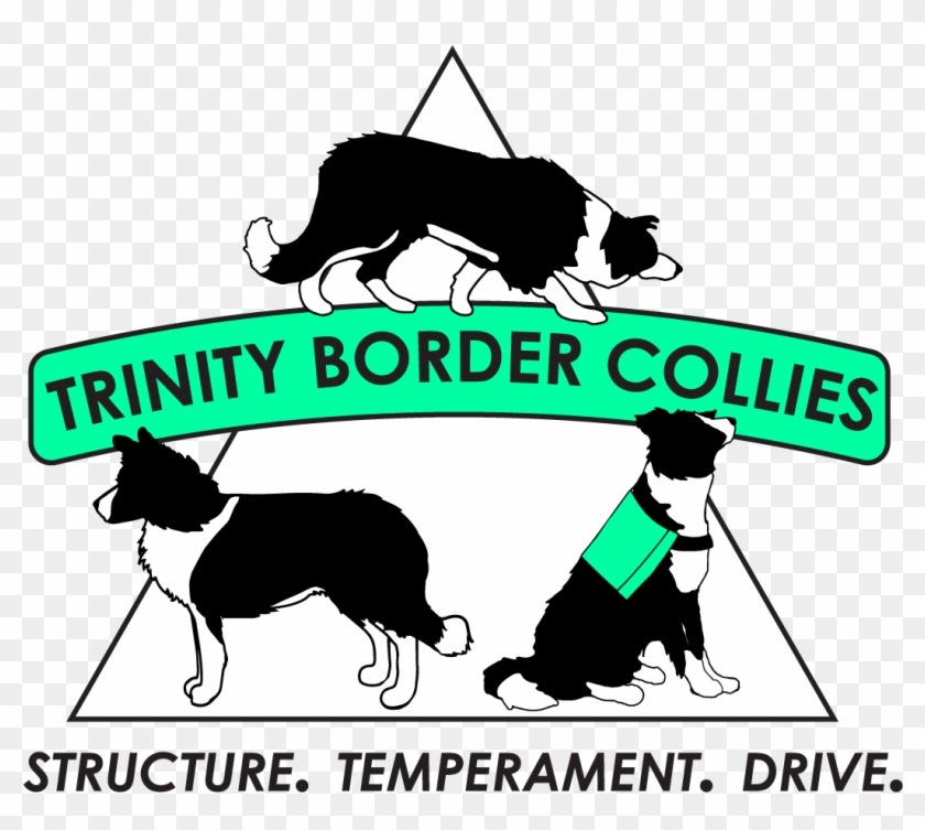 Dog Catches Something Clipart #5256911