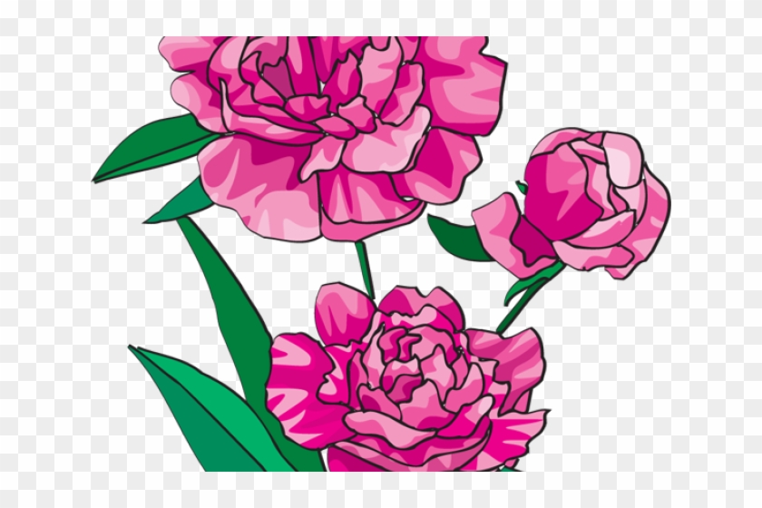 Peony Clipart Mason Jar Flower - Png Download