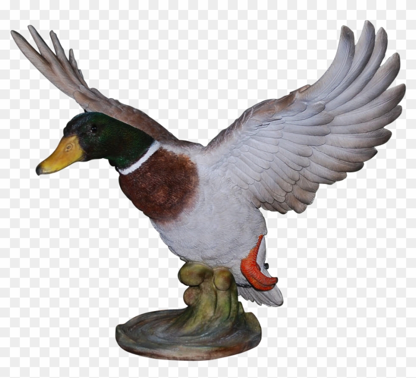 Tap To Expand - Mallard Clipart