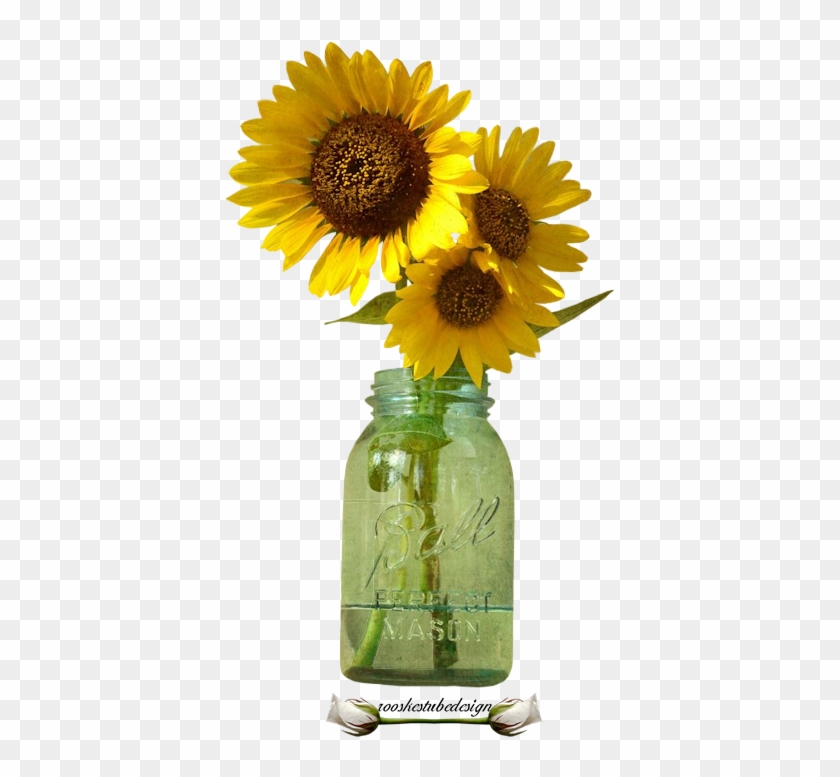 Bloemen Rooskestubedesign Bloem - Sunflower In Mason Jar Clipart - Png Download #5257282