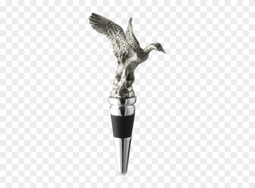 Price Match Policy - Blue Winged Teal Clipart #5257285