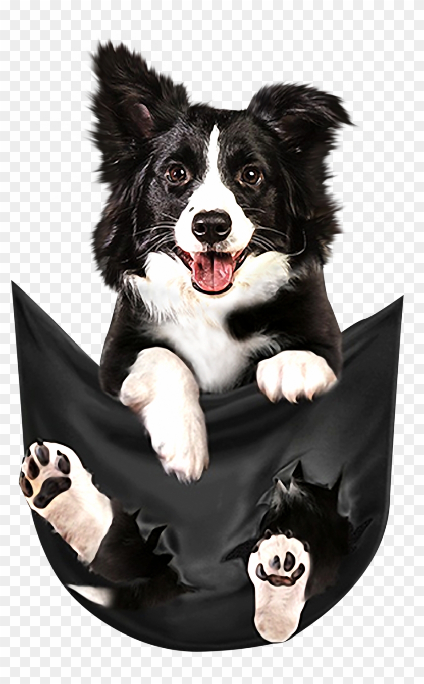 Border Collie Dog In A Pocket Shirt, Sweater, Hoodie, - Border Collie In Pocket Shirt Clipart