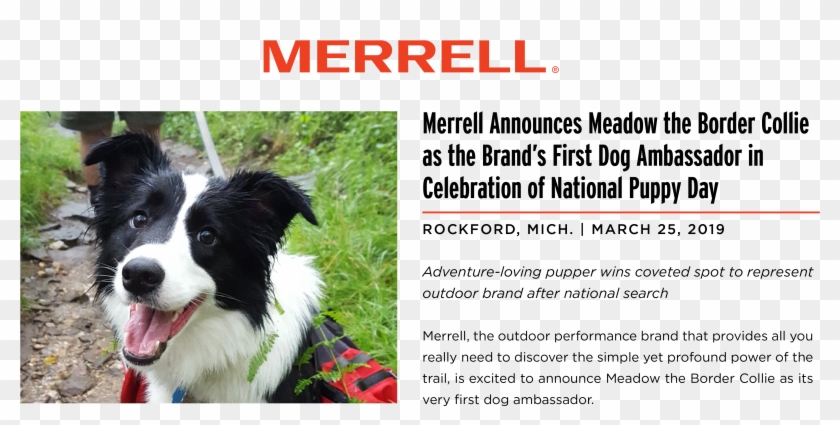 Merrell Clipart #5257922