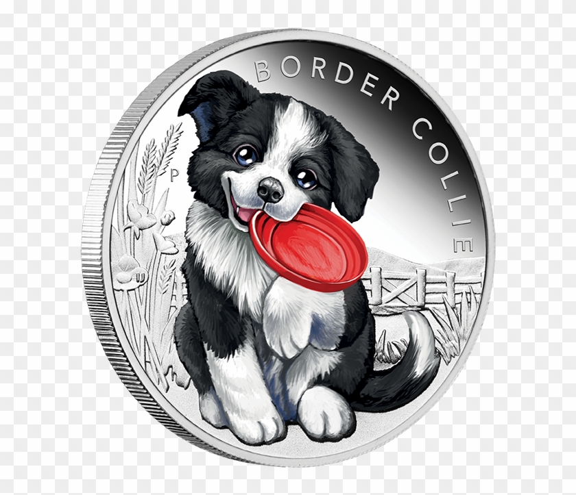Border Collie 1/2oz Silver Proof Coin - Border Collie Clipart #5258021