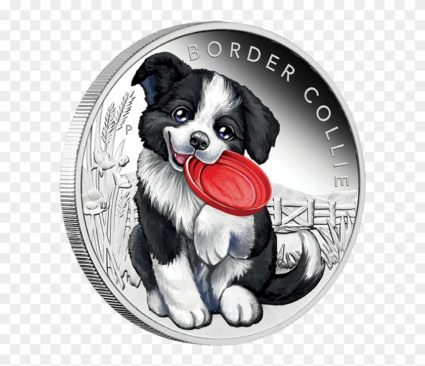 Border Collie 1/2oz Silver Proof Coin - Border Collie Clipart