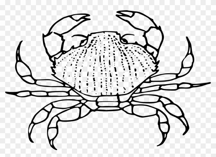 Beautiful King Crab Clipart 1 » Clipart Portal For - Black And White Clipart Crab - Png Download #5258101
