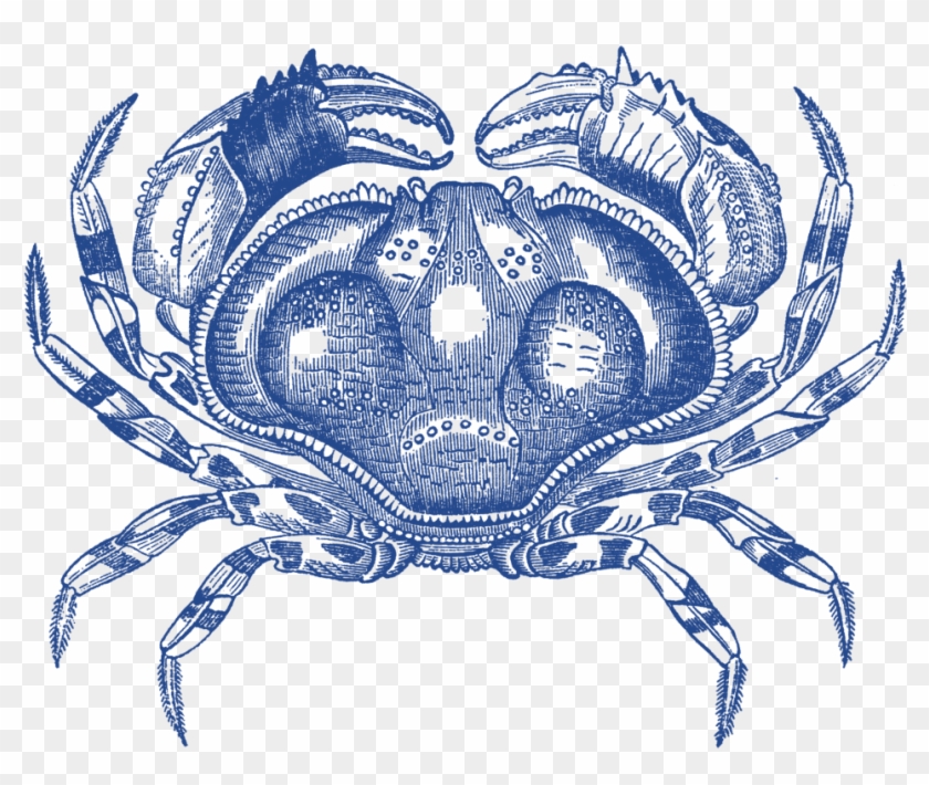 Классный Сайт Рыбного Магазина В Австралии - Freshwater Crab Clipart #5258236