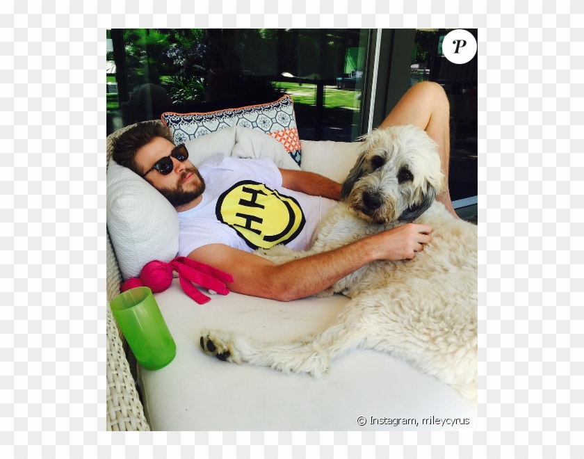 Miley Cyrus A Publié Une Photo De Son Chéri Liam Hemsworth - Liam Hemsworth And Dora Clipart #5258909