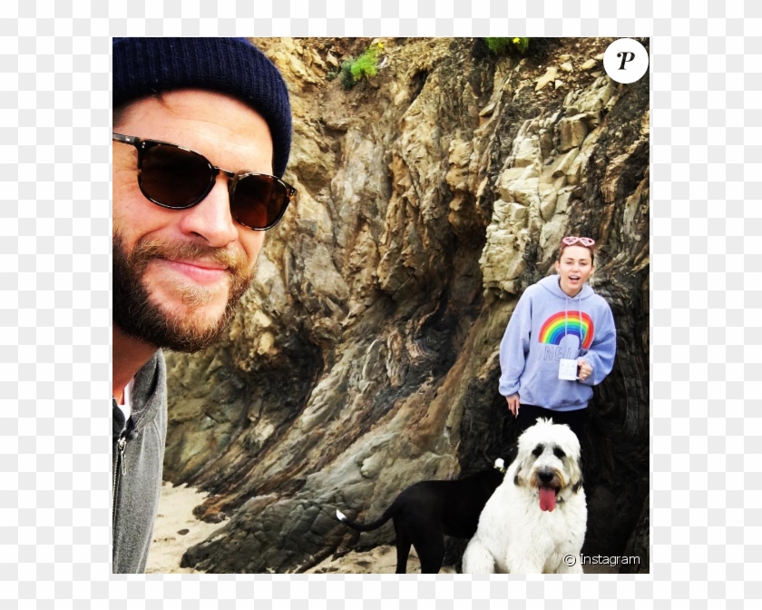Liam Hemsworth Et Miley Cyrus Sur Une Photo Publiée - Cute Liam Hemsworth Miley Cyrus Clipart