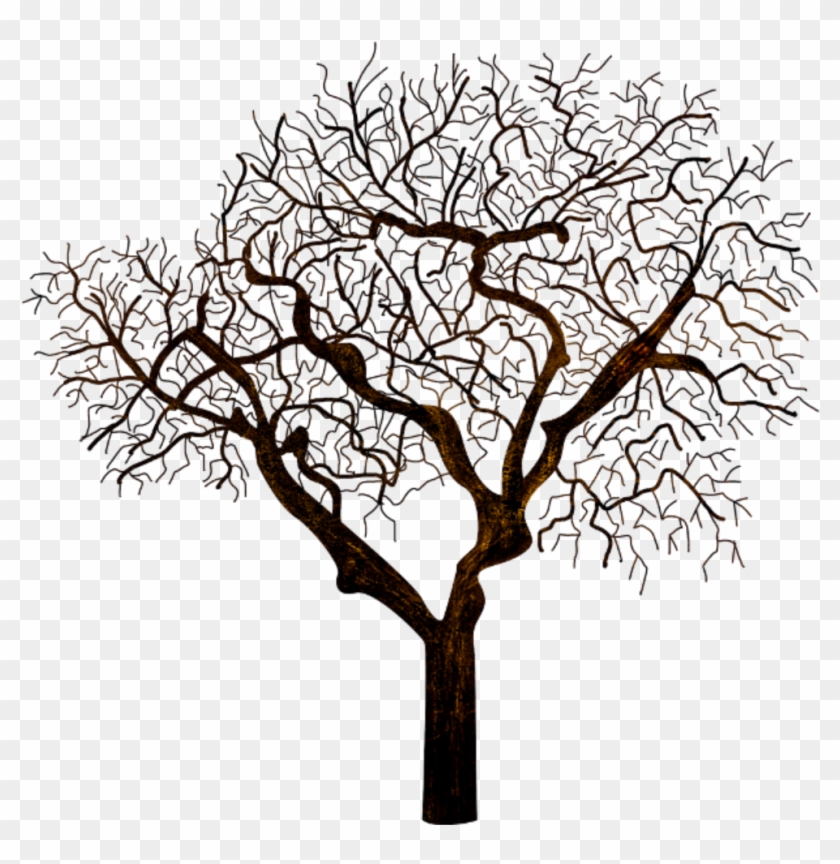 #silhouette #tree #halloween #dark #freetoedit - Silhouette Clipart