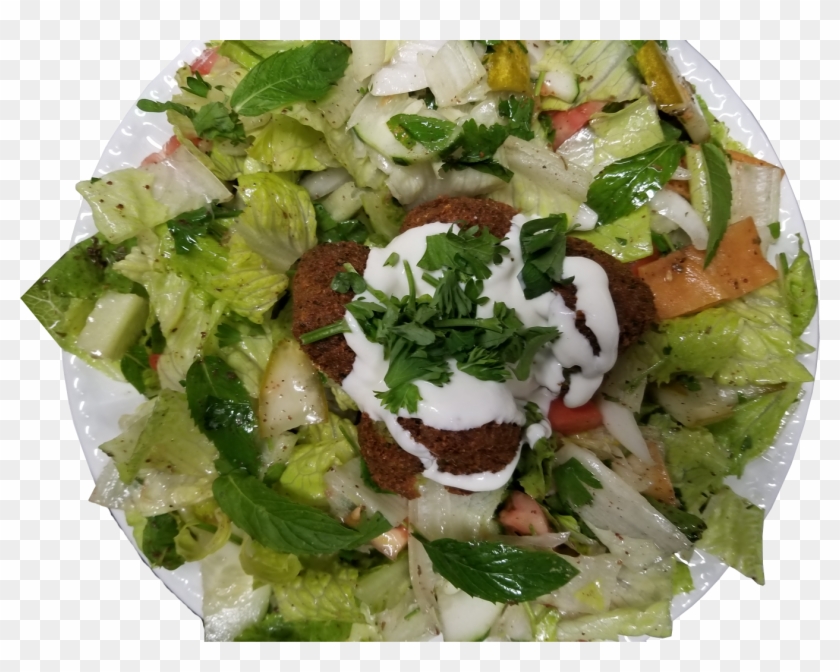 Falafel Salad - Garden Salad Clipart