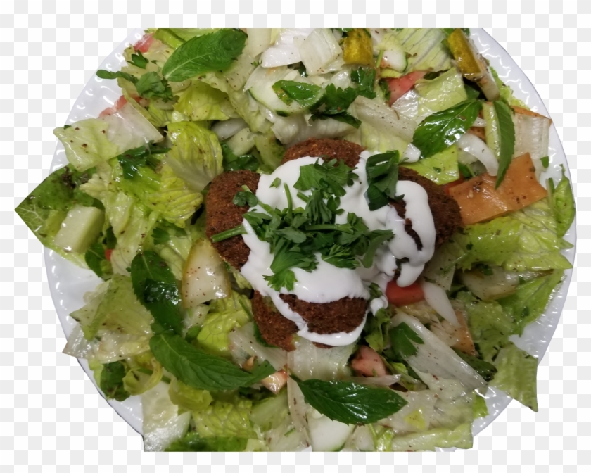 Falafel Salad - Garden Salad Clipart #5260421