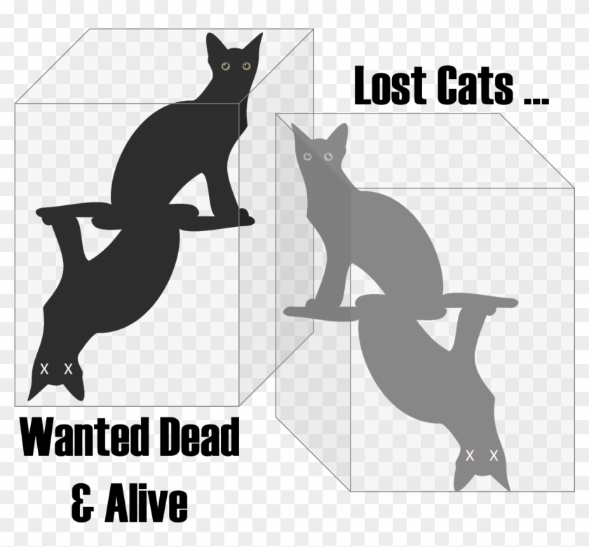 Fullsize Of Schrodingers Cat Meme Large Of Schrodingers - Cat Yawns Clipart