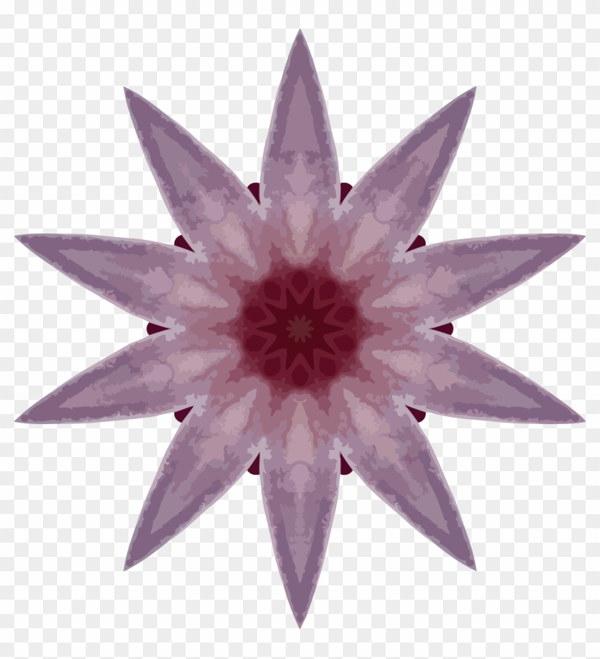 This Free Icons Png Design Of Orchid Kaleidoscope 19 - Star Vector Clipart #5262932