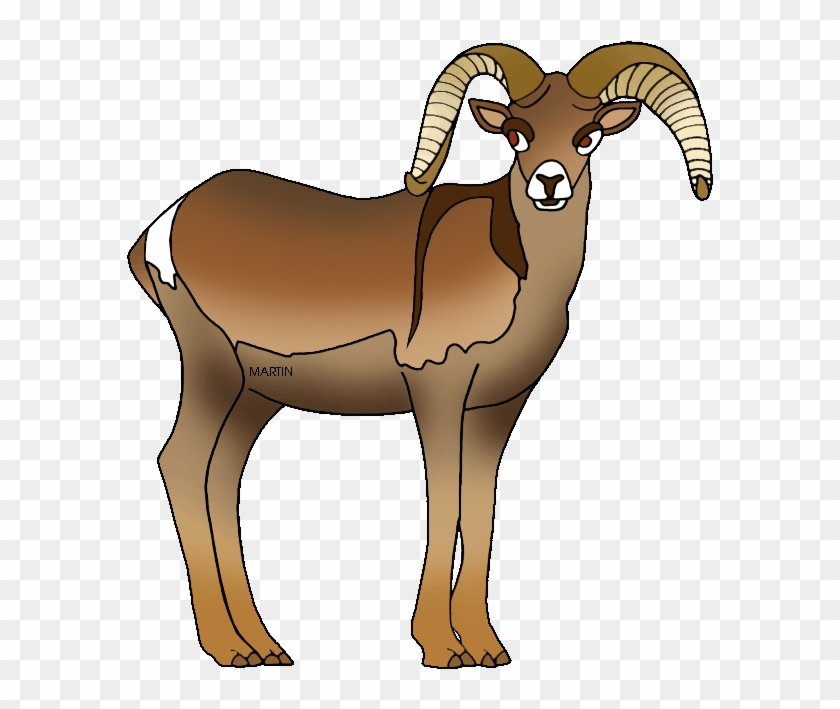 Dall Sheep Clipart Ram Pencil And In Color Dall Sheep - Nevada State Animal Bighorn Sheep - Png Download #5265376
