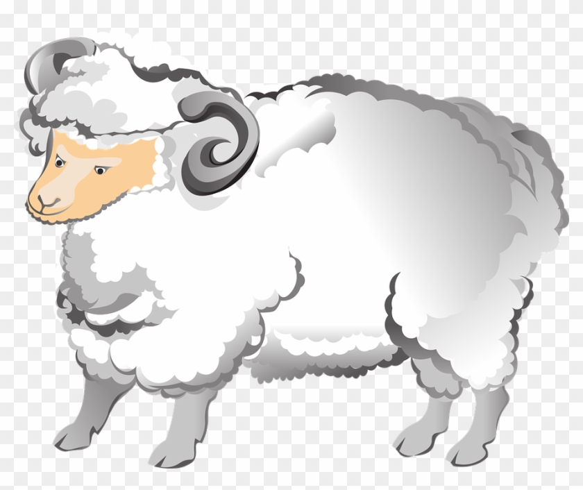 Ram Sheep Horns Farm Animal Fluffy Mammal Male - Sheep Clipart