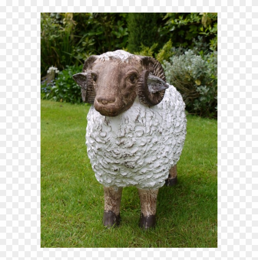 Sheep Clipart #5265593