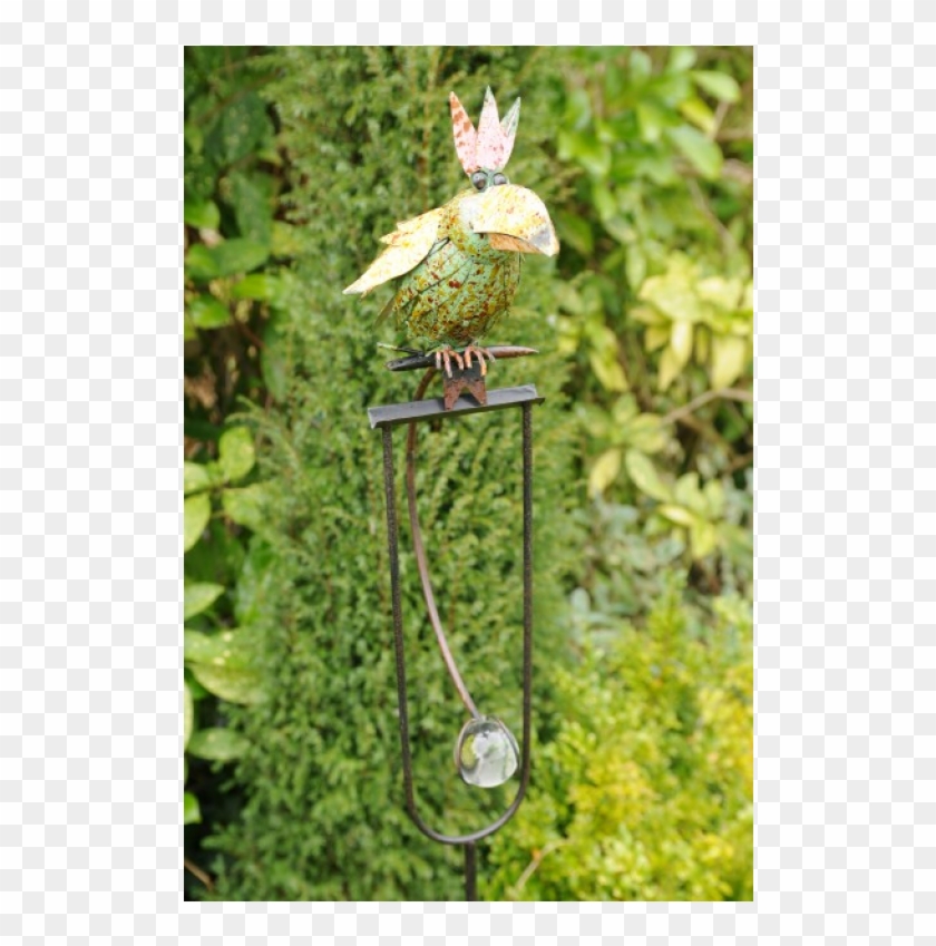 Hierochloe Clipart #5265631