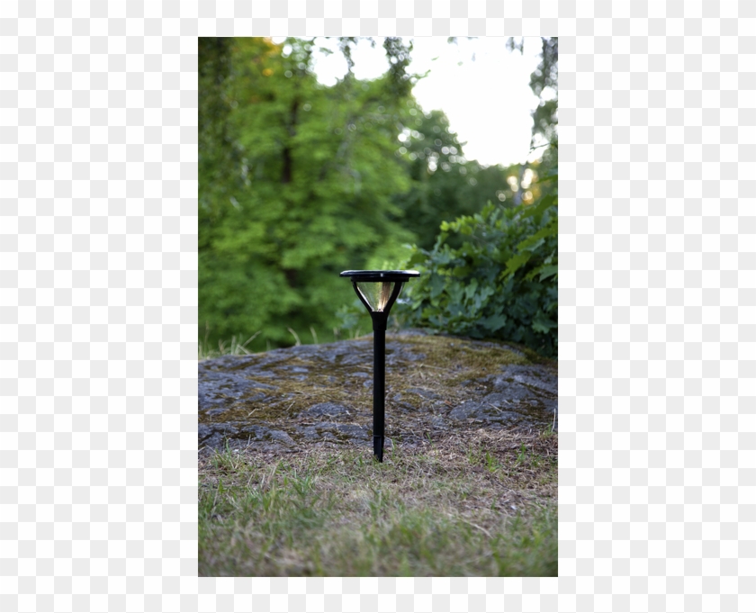 Solar Bollard Mervia - Tree Clipart #5265885