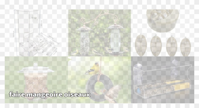 House Finch Clipart #5265918