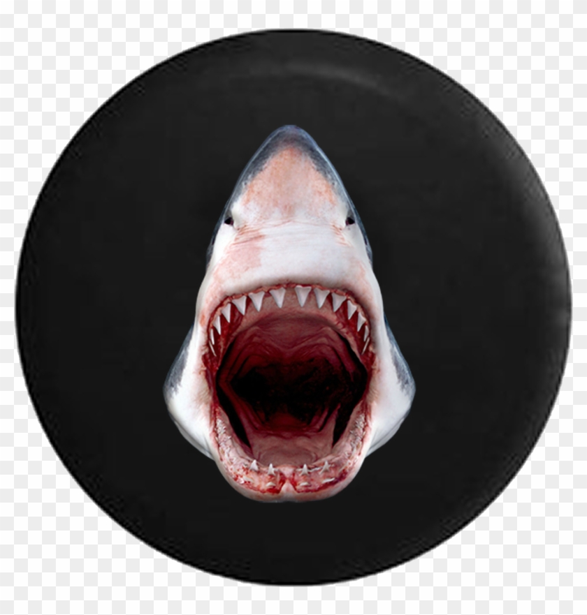 Great White Shark Jaws Open Razor Sharp Teeth Jeep - Open Mouth Great White Shark Clipart #5266353