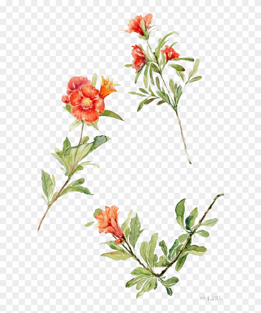 Jpg Freeuse Flowers Floral Design Watercolor Painting - Watercolor Painting Clipart