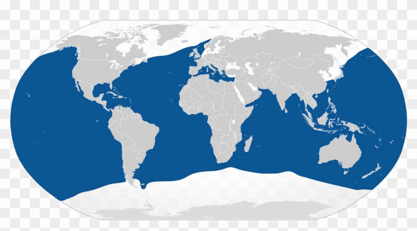 Great White - Does The Blue Shark Live Clipart