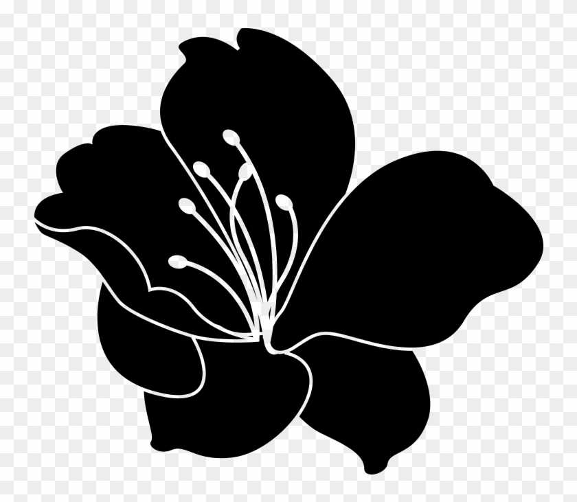 Flowers Silhouette - Orchid Clipart