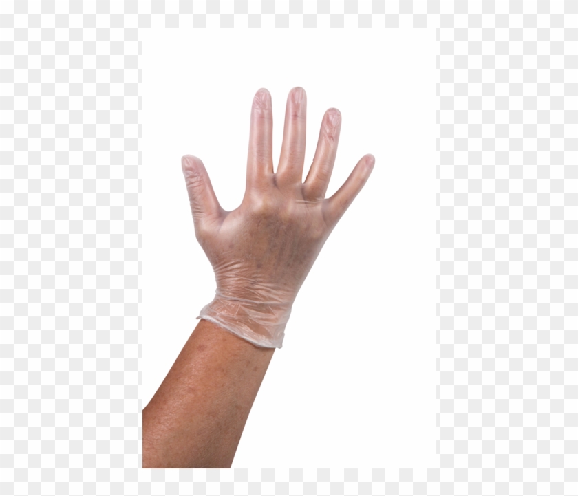 Comfort Glove, Vinyl, Powder Free, L, White - Vinyl Glove Clipart #5267363