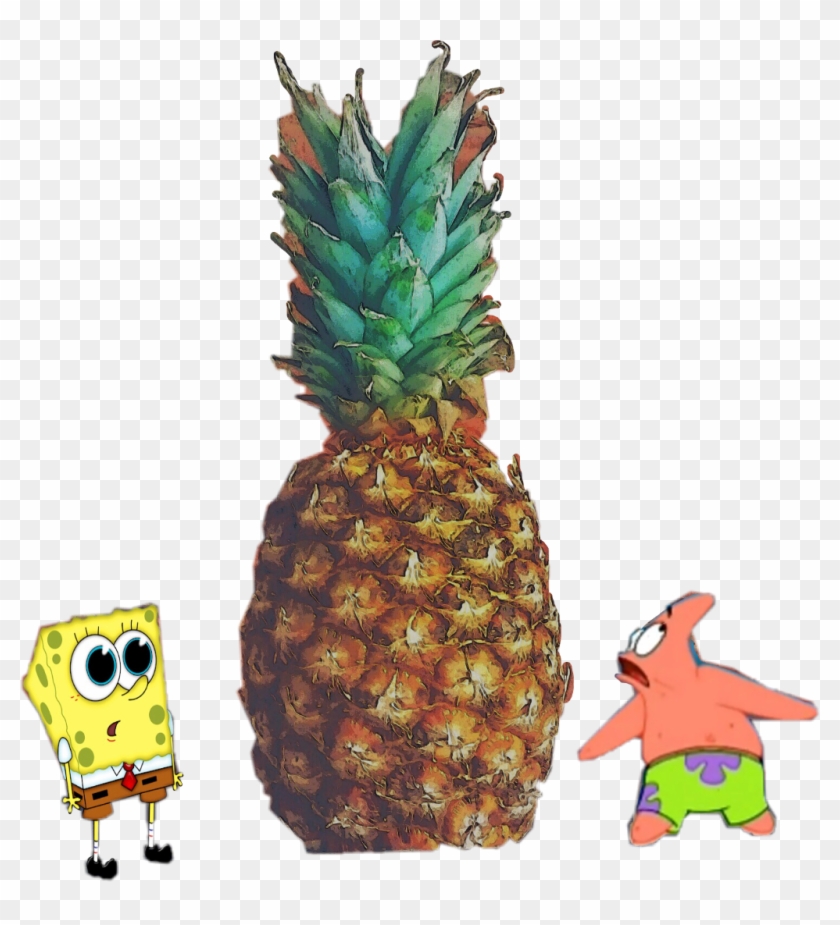 #freetoedit #pineapple #spongebob #patrick - Pineapple Clipart