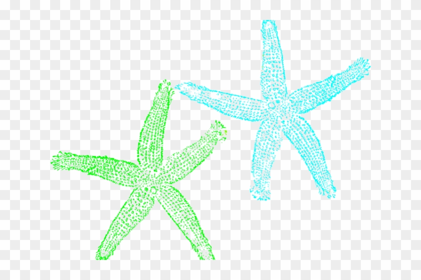 Starfish Clipart Mint - Starfish - Png Download #5268797
