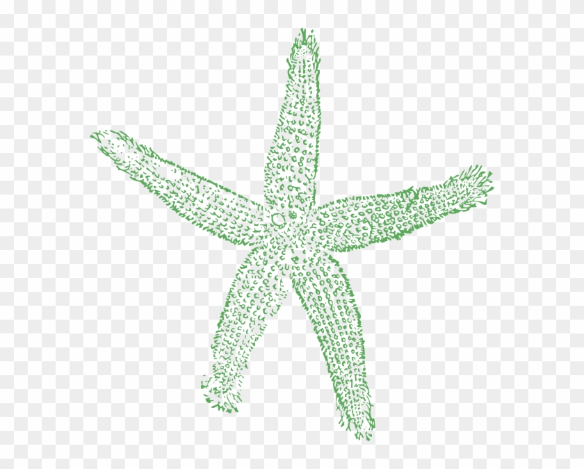 This Free Clip Arts Design Of Starfish Sage - Fish Clip Art - Png Download