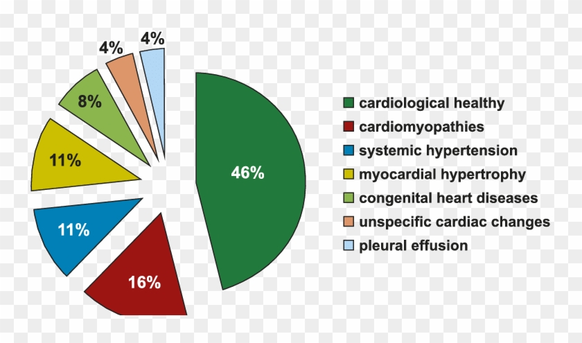 Division Of Cats According To Cardiac Changes - Clip Art Cartoon - Png Download #5270888