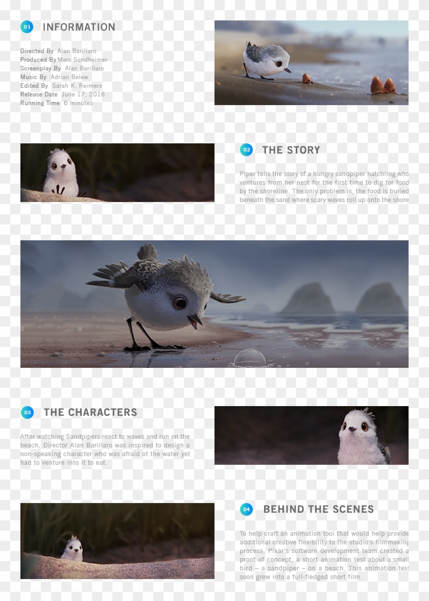 Freshwater Whipray Clipart