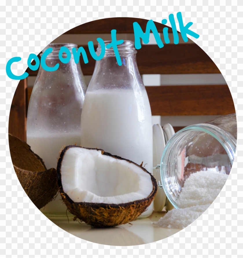 Coconut Clipart #5274472