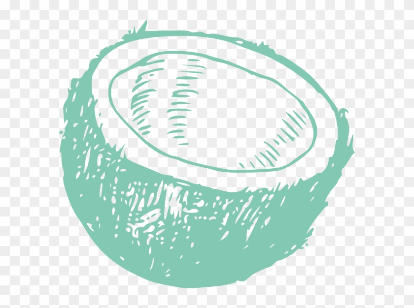 Small - Coconut Line Art Clipart #5274823