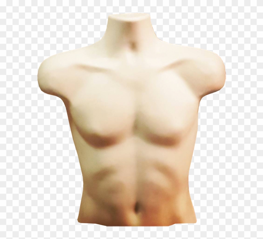Torso Png Transparent Background - Pound Of Flesh Torso Clipart