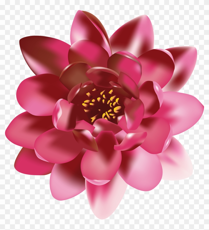 View Full Size - Water Lily Clipart #5275325