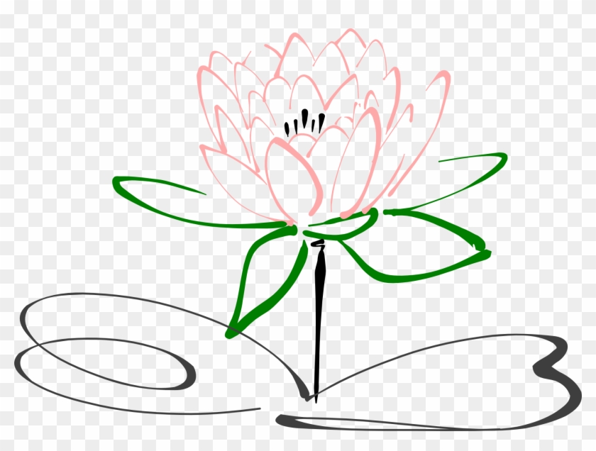 Stem Drawing Lotus Flower - Diagram Of Lotus Flower Clipart
