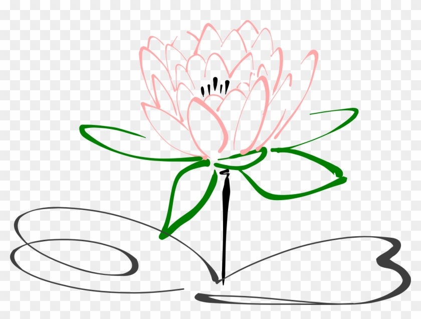 Stem Drawing Lotus Flower - Diagram Of Lotus Flower Clipart #5275670