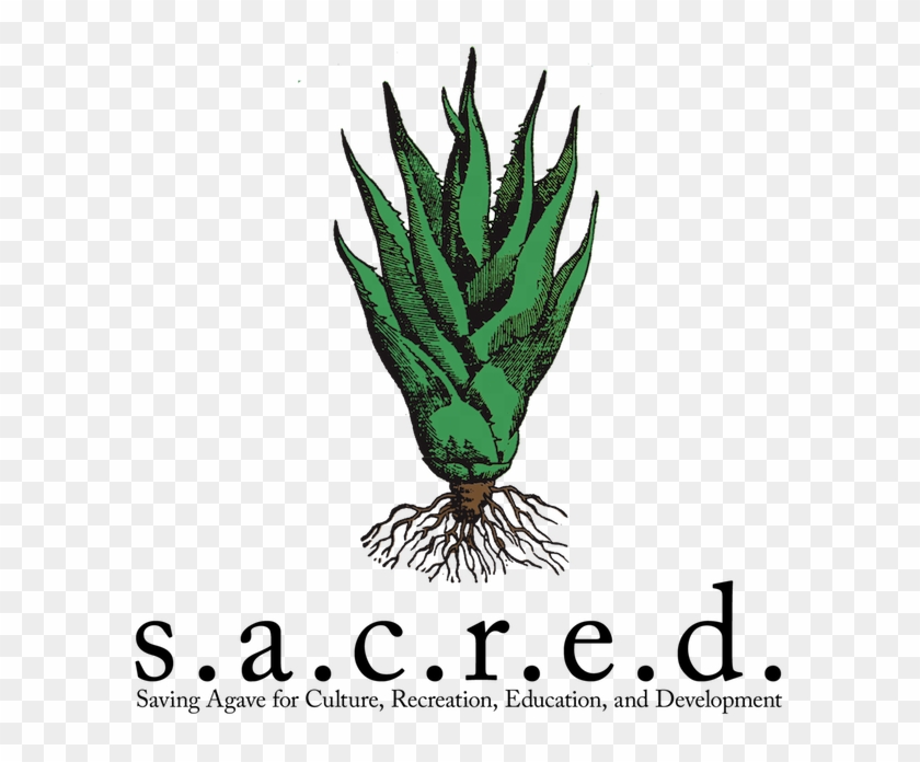 Sacred Fb Icon - Home Inspection Clipart